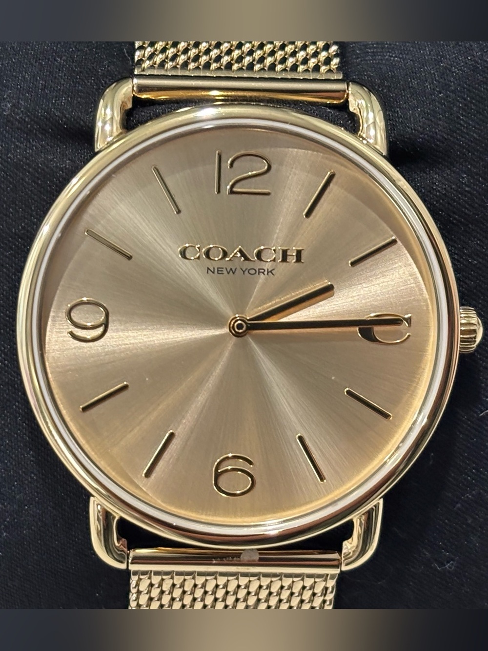 COACH Gold Tone Mesh Strap Watch